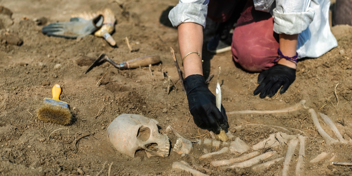 Unlocking Human History: Pursuing an MSc and BSc in Anthropology