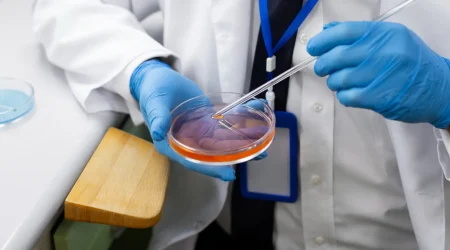 Stem-cell-and-tissue-engineering